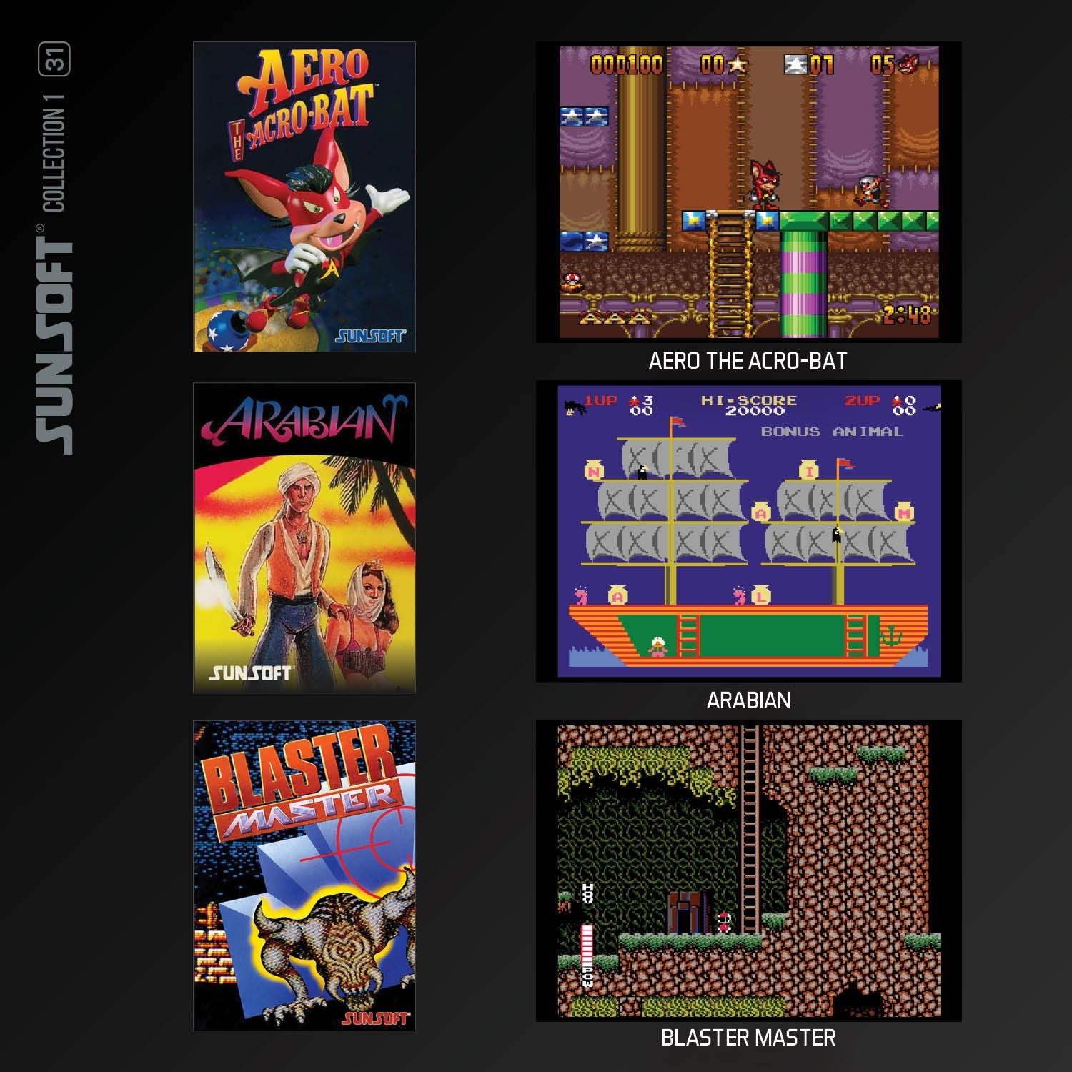 Evercade Cartridge #31 - Sunsoft Collection 1