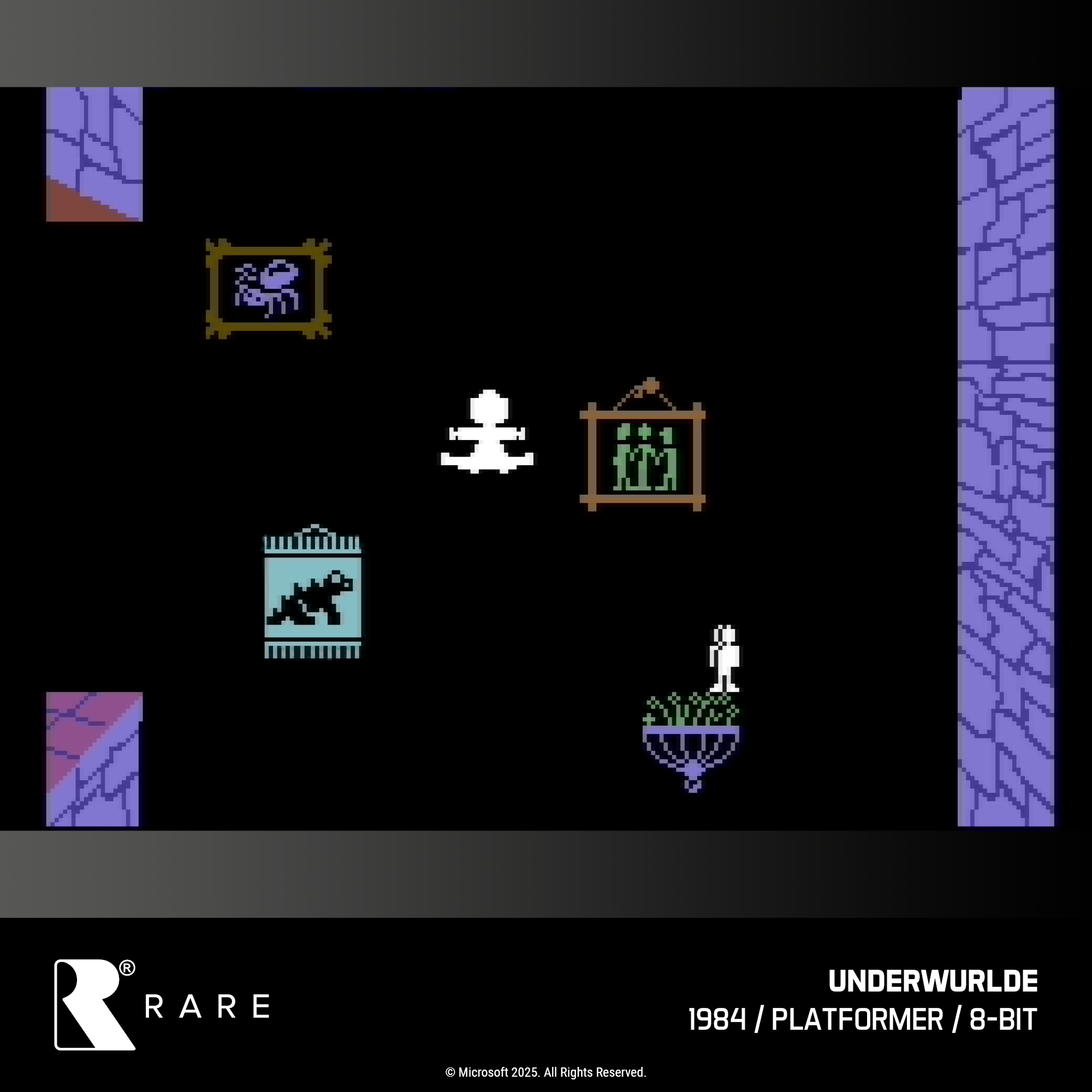 Evercade Cartridge #48 - Rare Collection 1