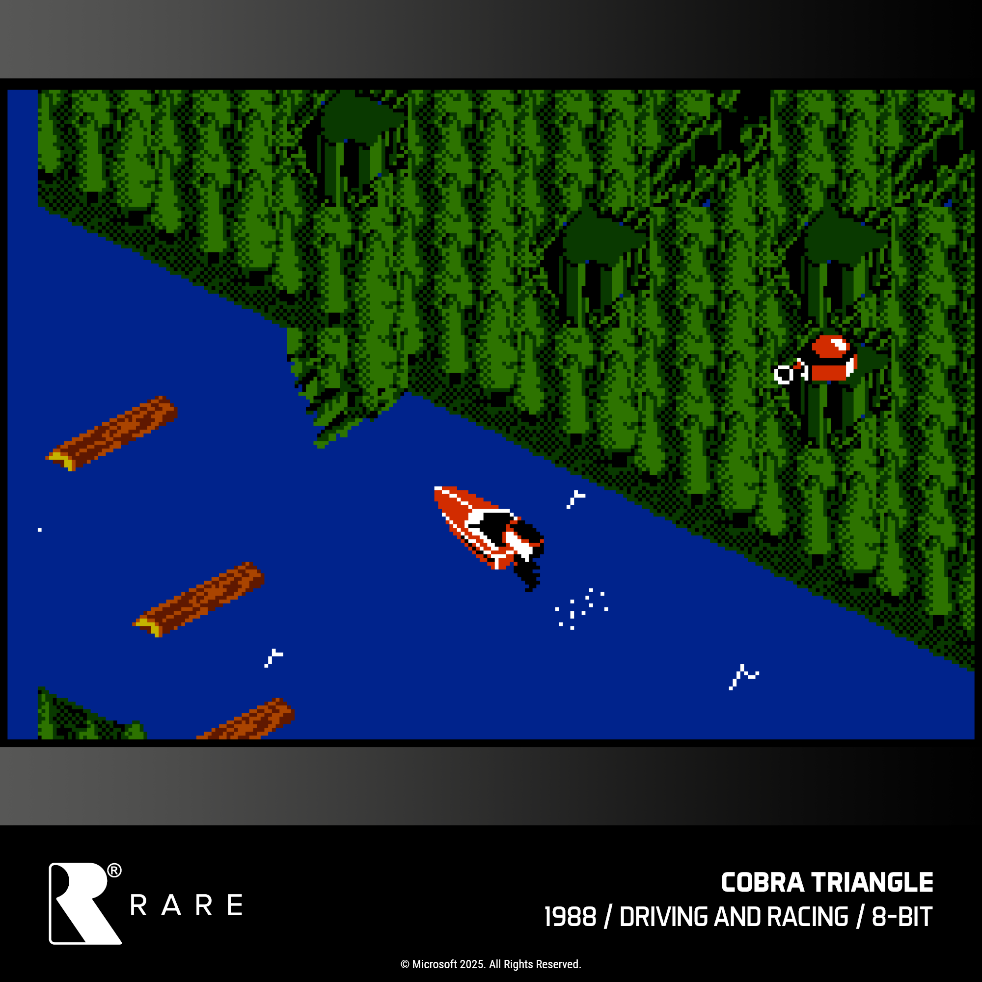 Evercade Cartridge #48 - Rare Collection 1
