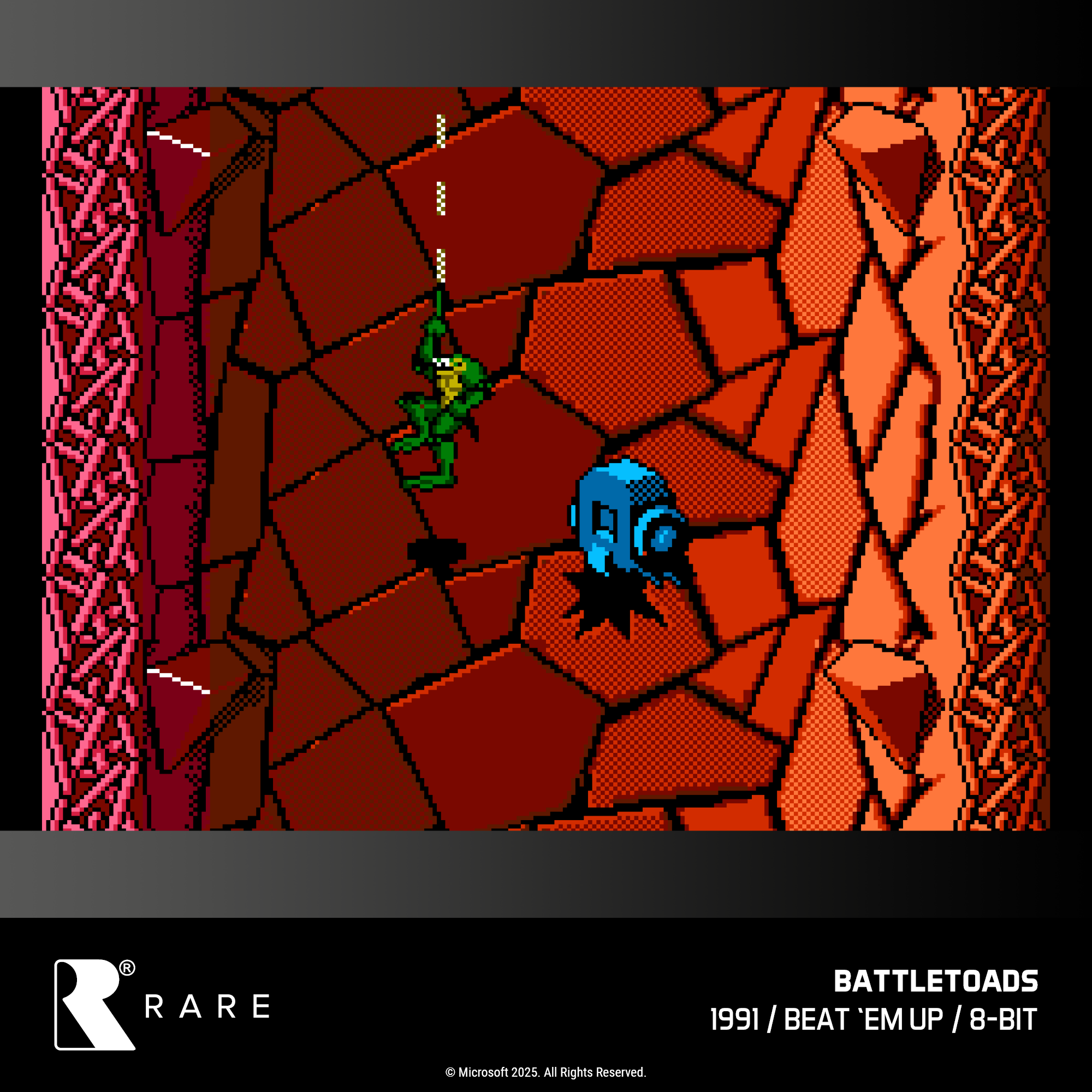 Evercade Cartridge #48 - Rare Collection 1