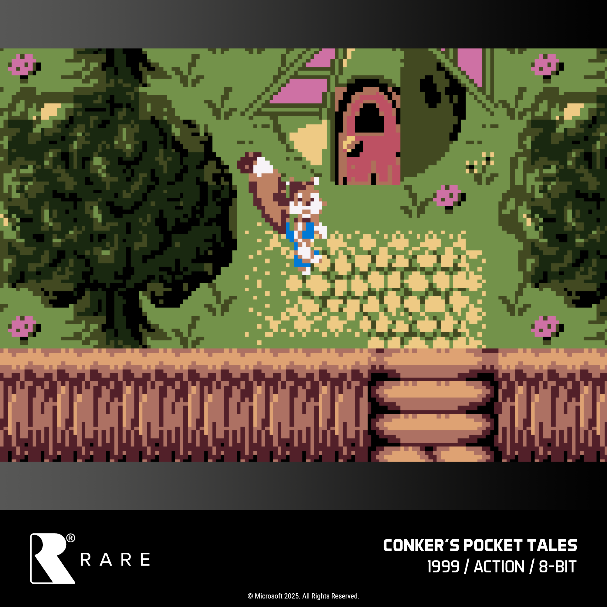 Evercade Cartridge #48 - Rare Collection 1
