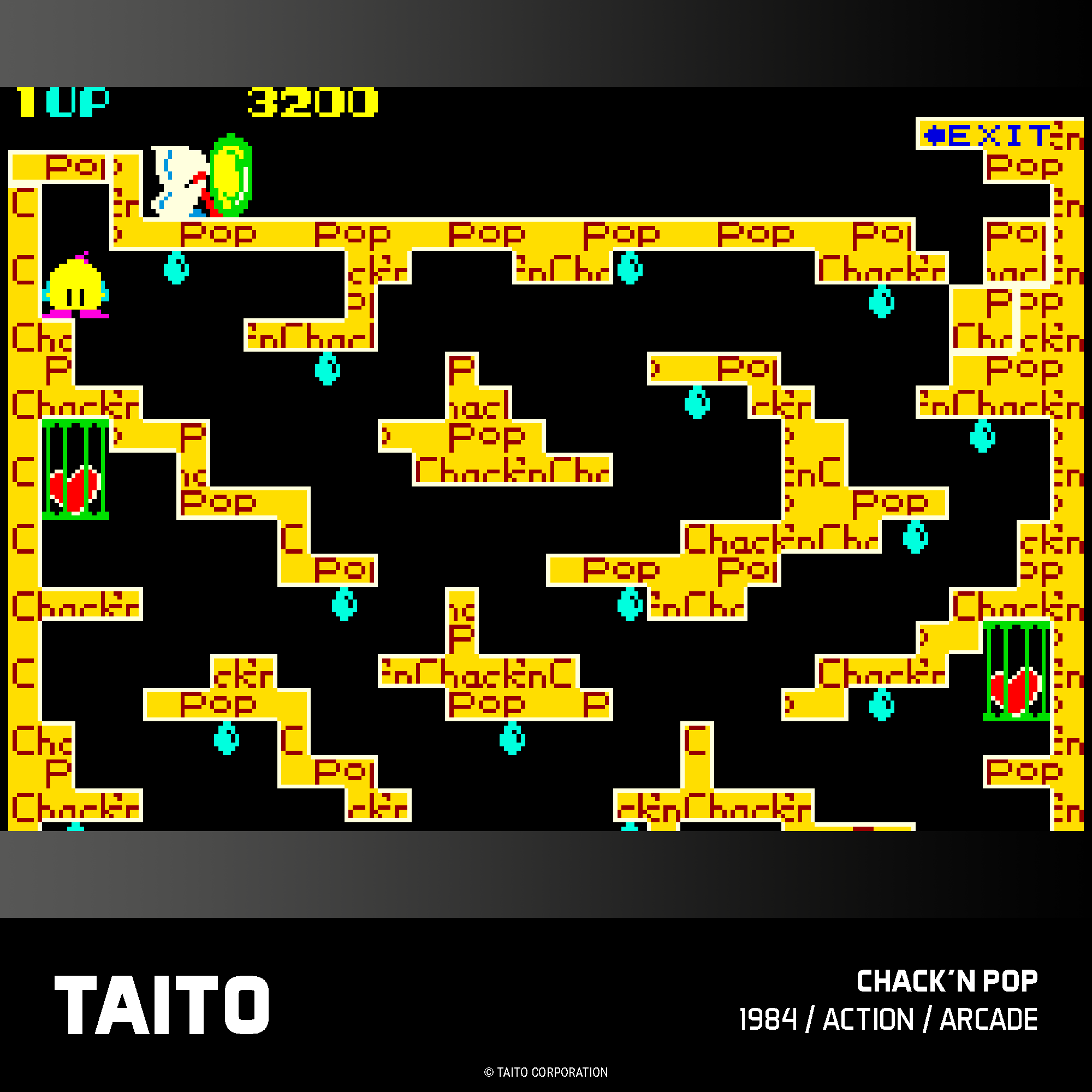 Evercade Cartridge #17 - Taito Arcade Collection 1