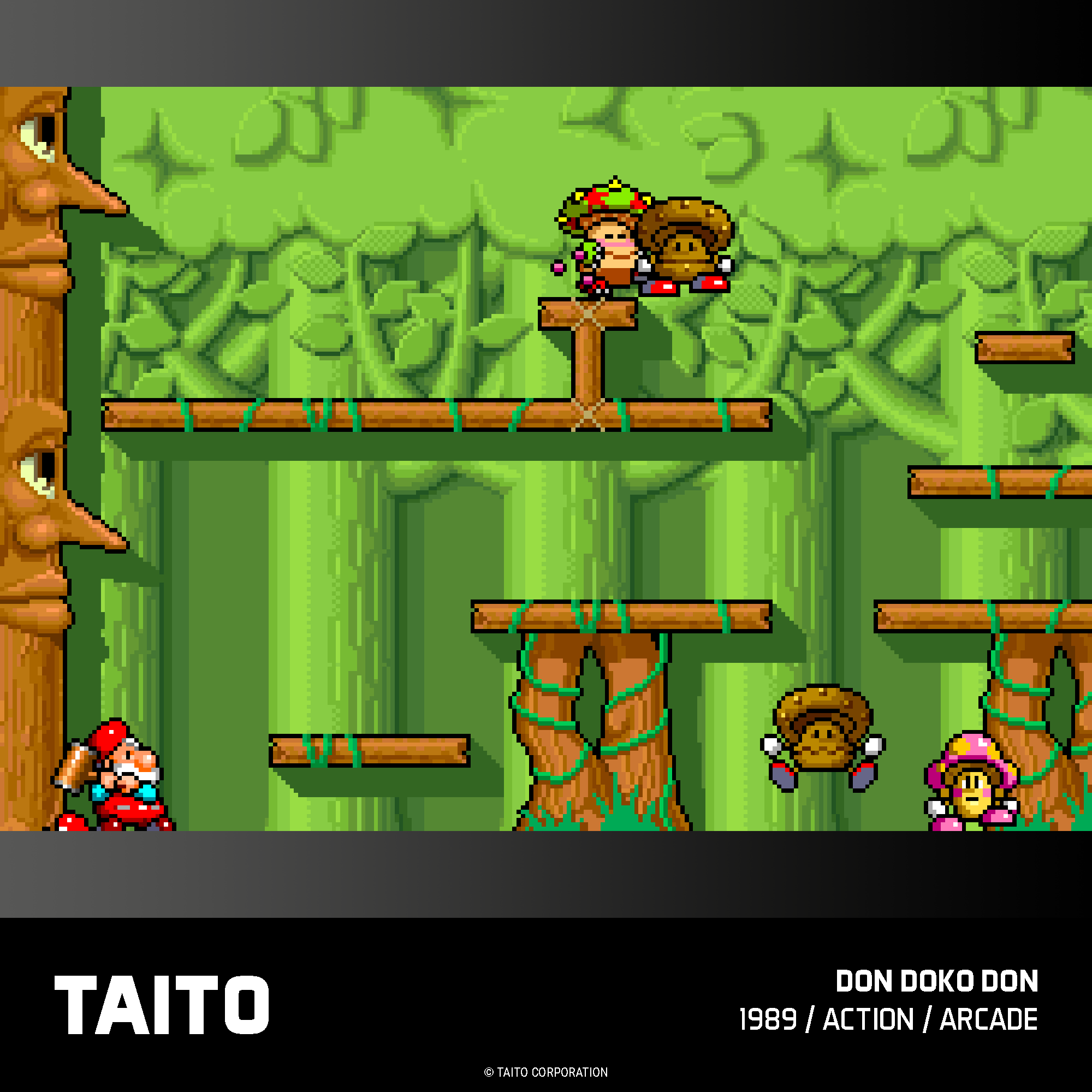 Evercade Cartridge #17 - Taito Arcade Collection 1