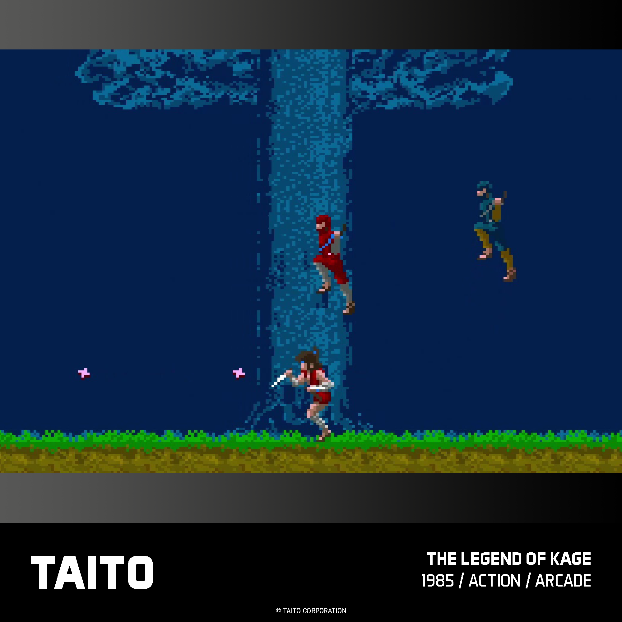 Evercade Cartridge #17 - Taito Arcade Collection 1