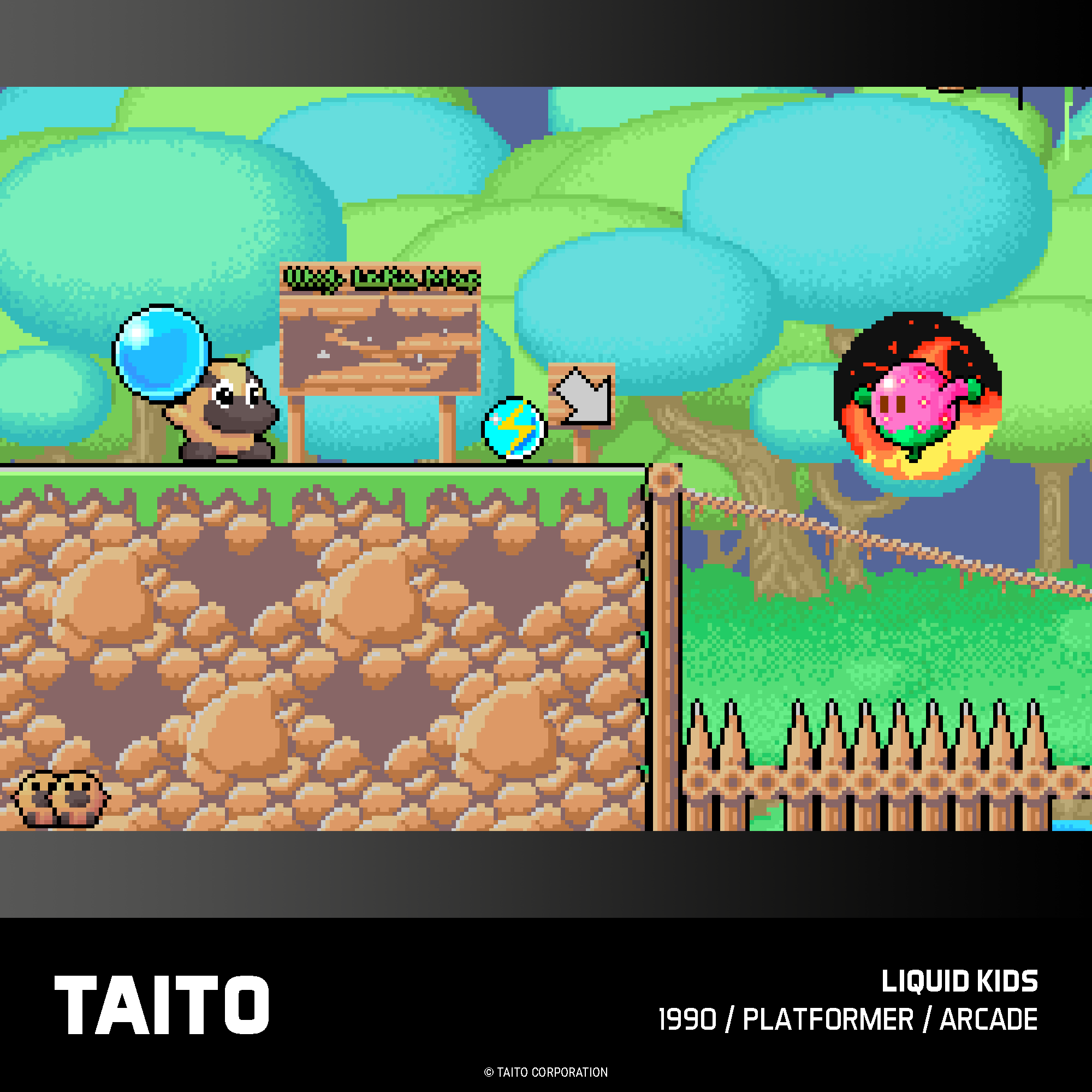 Evercade Cartridge #18 - Taito Arcade Collection 2