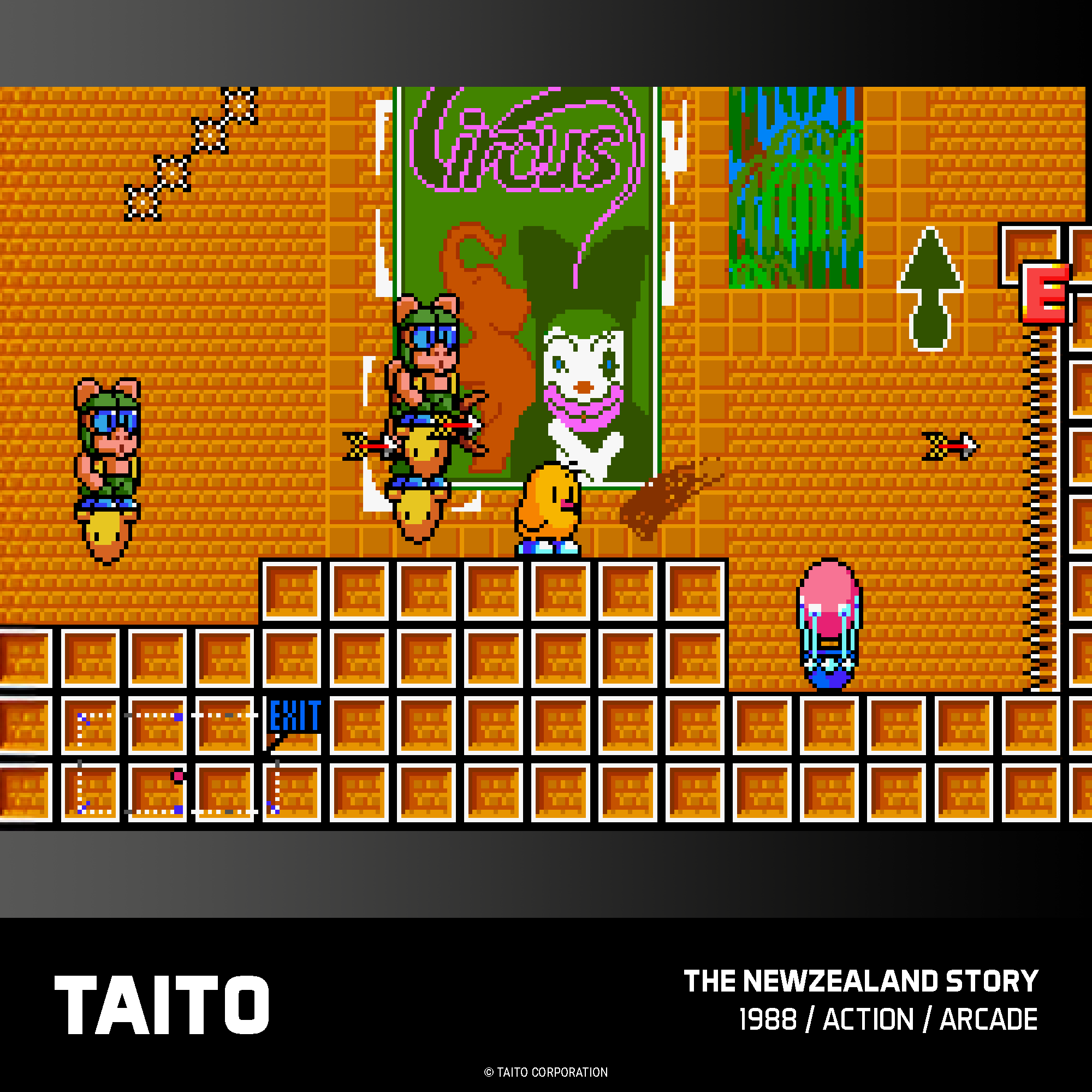 Evercade Cartridge #18 - Taito Arcade Collection 2